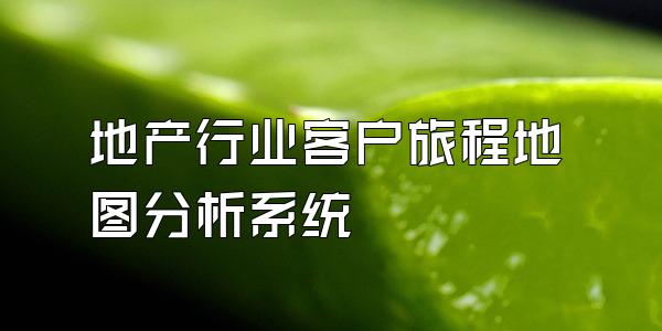 地产行业客户旅程地图分析系统