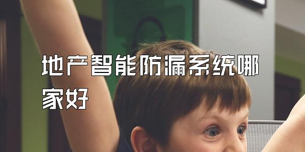 地产智能防漏系统哪家好
