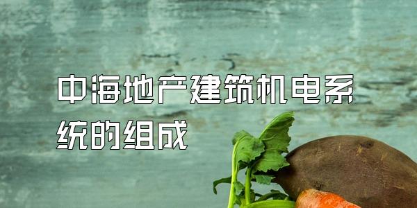 中海地产建筑机电系统的组成