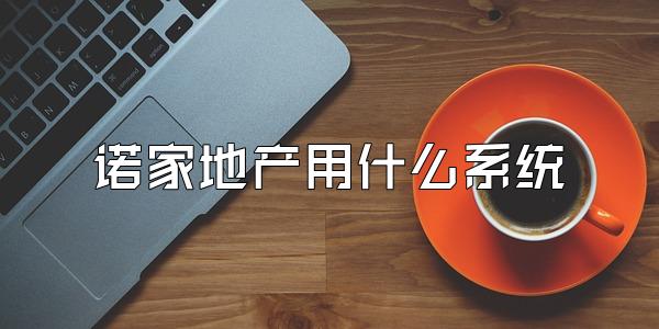 诺家地产用什么系统