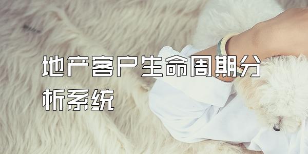 地产客户生命周期分析系统