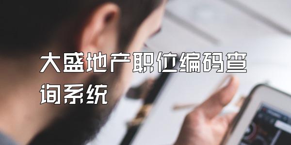 大盛地产职位编码查询系统