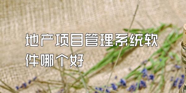 地产项目管理系统软件哪个好
