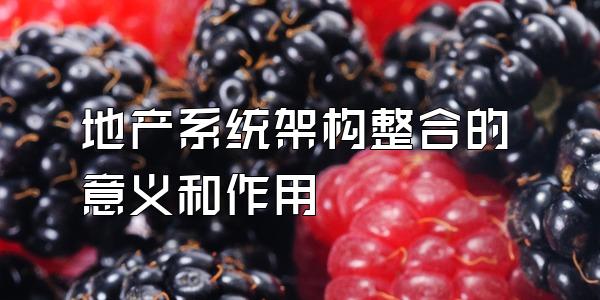 地产系统架构整合的意义和作用