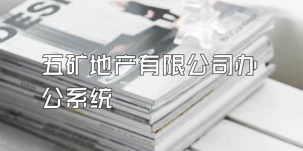 五矿地产有限公司办公系统