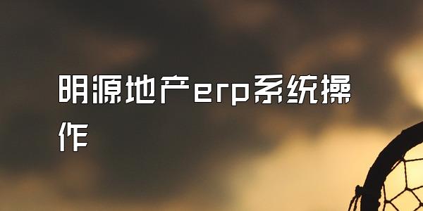 明源地产erp系统操作