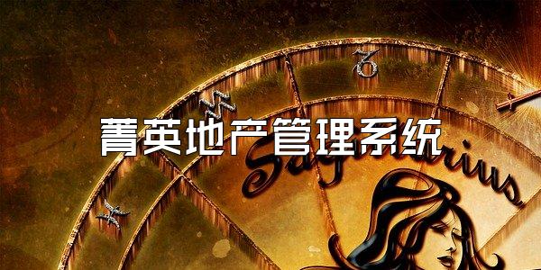 菁英地产管理系统