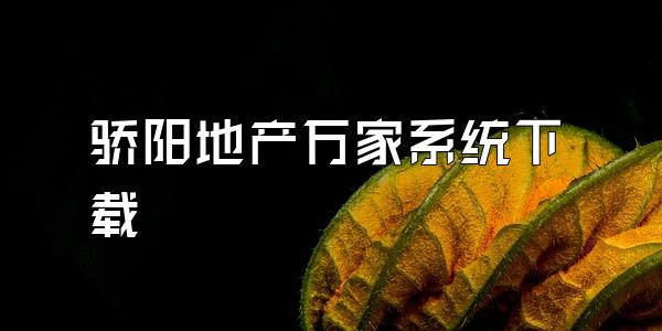 骄阳地产万家系统下载