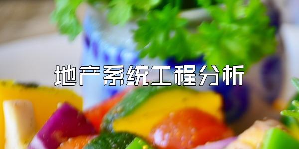 地产系统工程分析