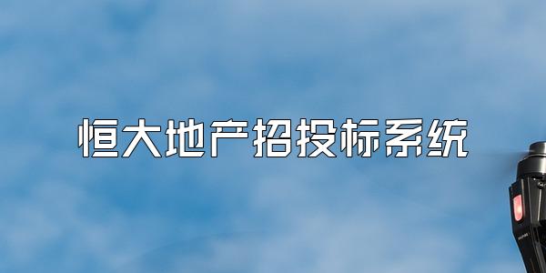 恒大地产招投标系统