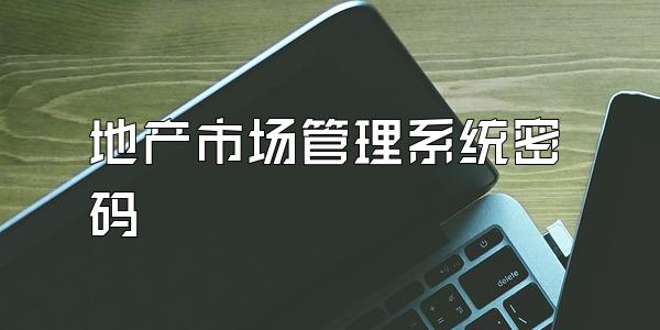 地产市场管理系统密码