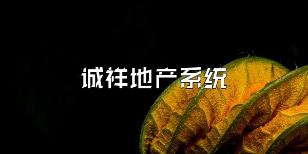 诚祥地产系统