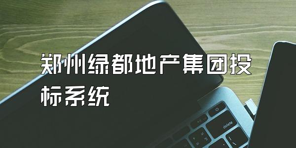 郑州绿都地产集团投标系统