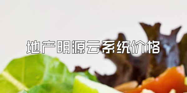 地产明源云系统价格