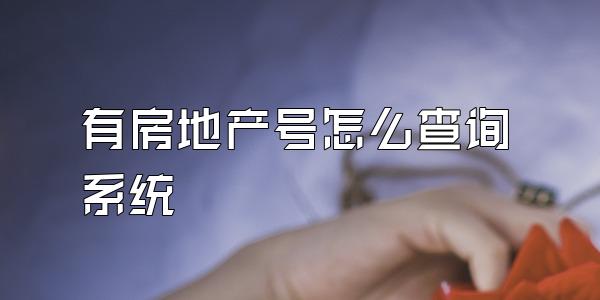 有房地产号怎么查询系统
