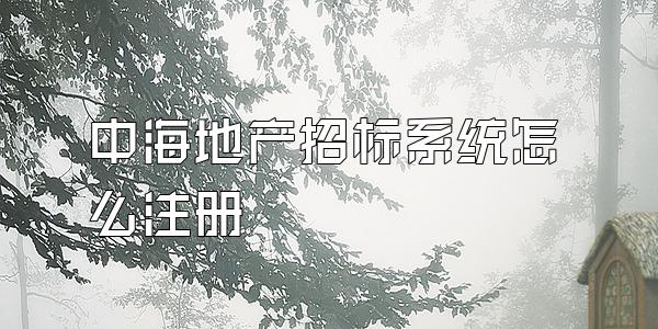 中海地产招标系统怎么注册