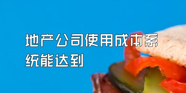 地产公司使用成本系统能达到