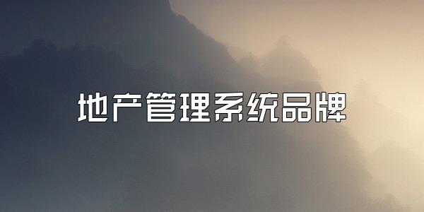 地产管理系统品牌
