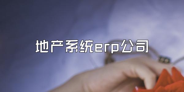 地产系统erp公司