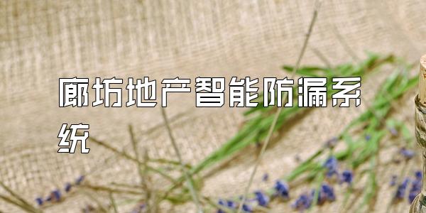 廊坊地产智能防漏系统