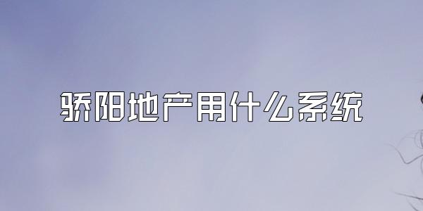 骄阳地产用什么系统