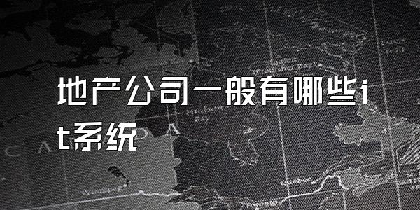 地产公司一般有哪些it系统