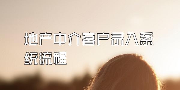 地产中介客户录入系统流程