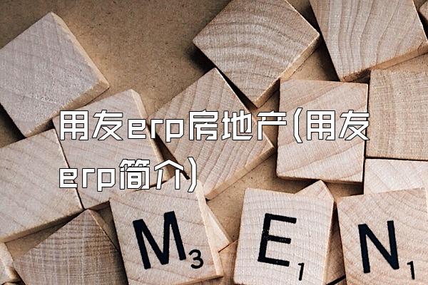 用友erp房地产(用友erp简介)