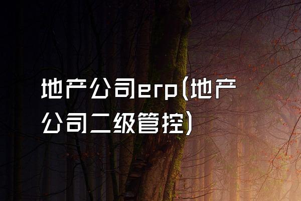 地产公司erp(地产公司二级管控)