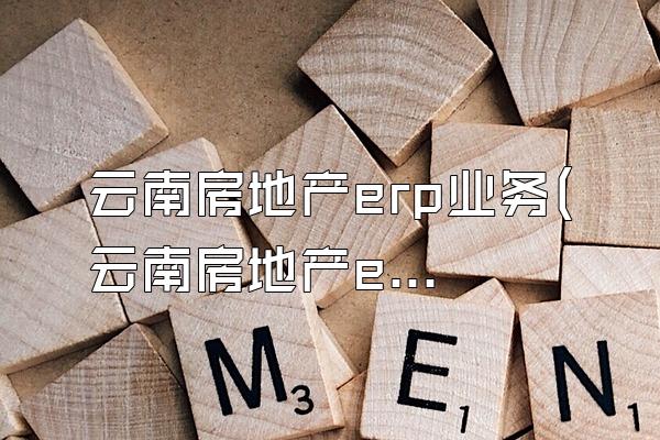 云南房地产erp业务(云南房地产erp业务有哪些)