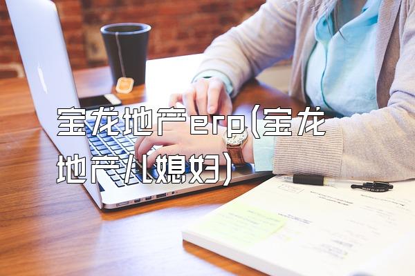 宝龙地产erp(宝龙地产儿媳妇)