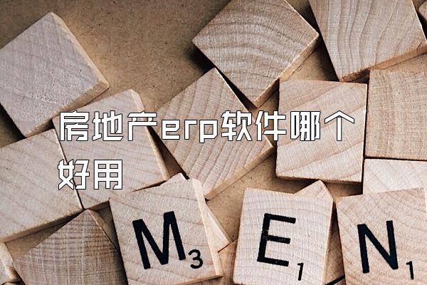 房地产erp软件哪个好用