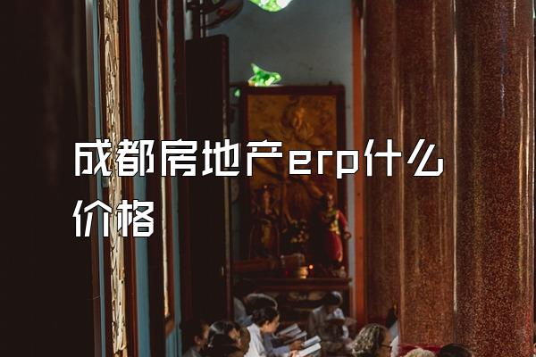 成都房地产erp什么价格