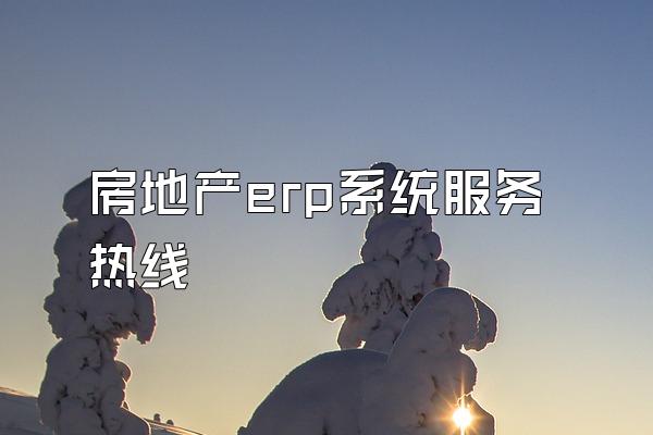 房地产erp系统服务热线