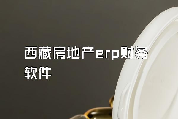 西藏房地产erp财务软件