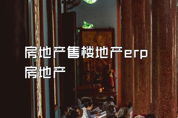 房地产售楼地产erp房地产