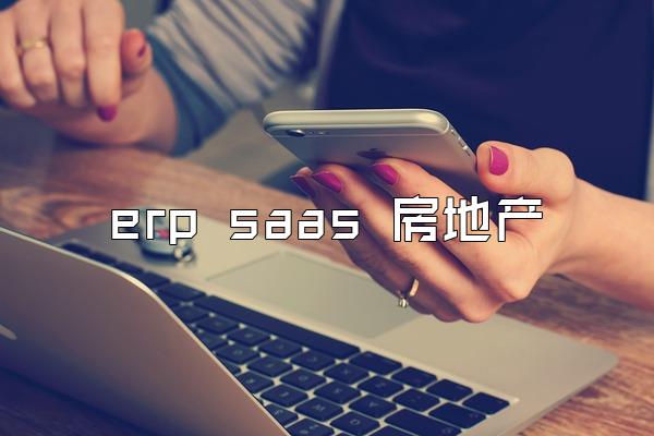 erp saas 房地产