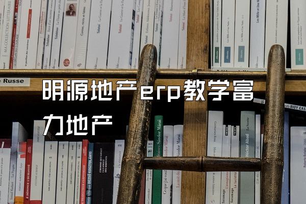 明源地产erp教学富力地产