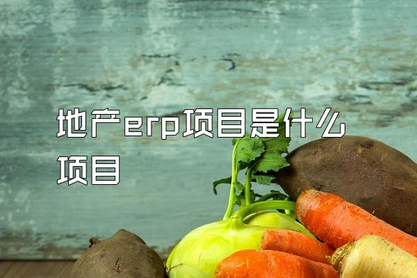 地产erp项目是什么项目