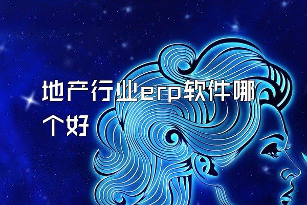 地产行业erp软件哪个好