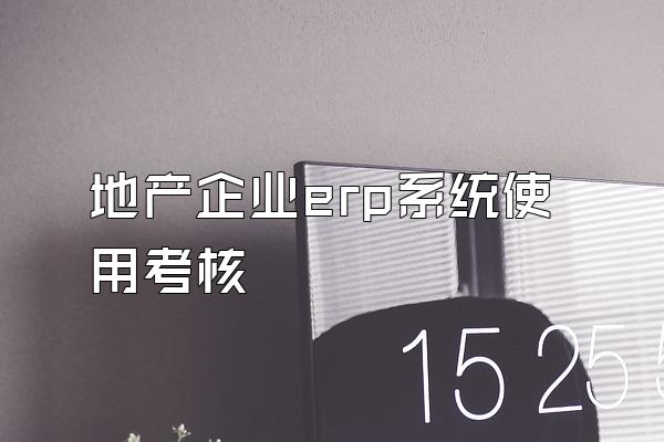 地产企业erp系统使用考核