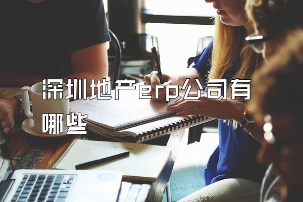 深圳地产erp公司有哪些