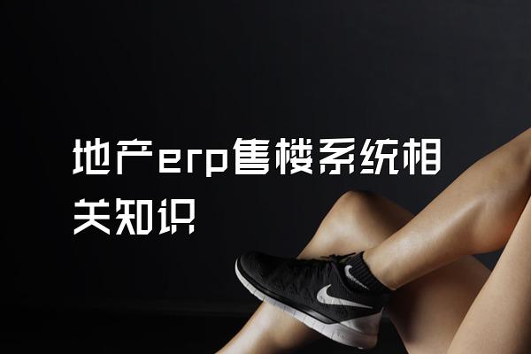 地产erp售楼系统相关知识