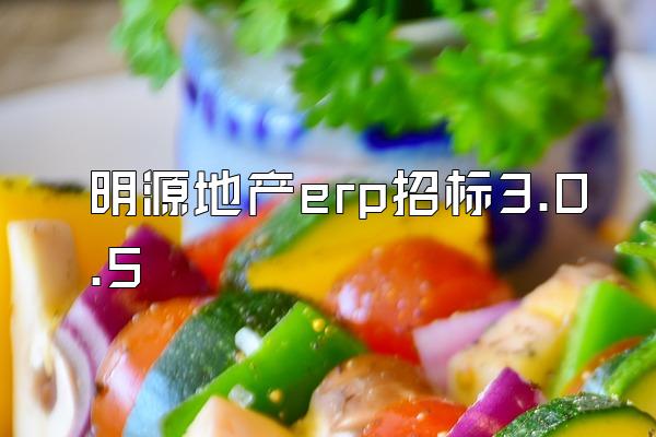 明源地产erp招标3.0.5