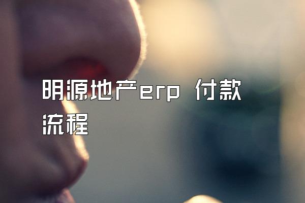 明源地产erp 付款流程