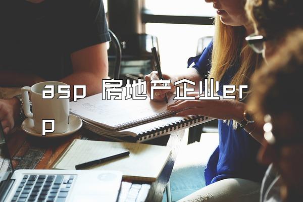 asp 房地产企业erp