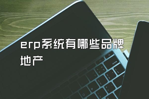 erp系统有哪些品牌地产