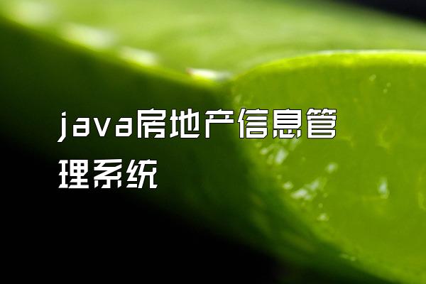 java房地产信息管理系统
