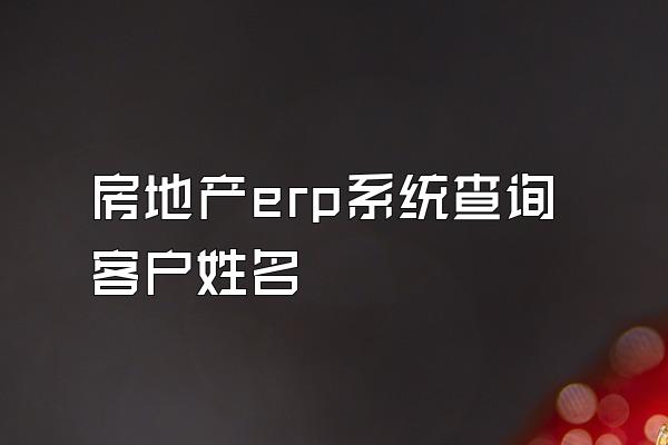 房地产erp系统查询客户姓名