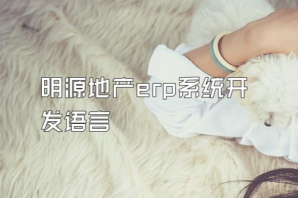 明源地产erp系统开发语言